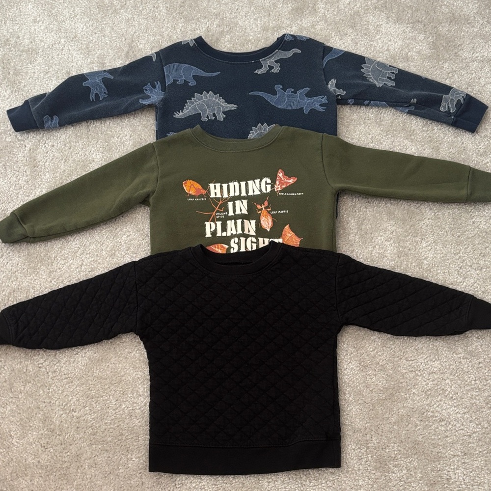 Three 2T Kid’s Sweatshirts- Navy Blue Dinosaur, Olive Green Bugs, Black Quilted
